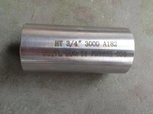 UNS N06455 2.4610 σφυρήλατο βύσμα με σπείρωμα θηλή αφεντικό ένωση ένθετο