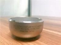 Ανοξείδωτο ατσάλι SS 316 L Cap